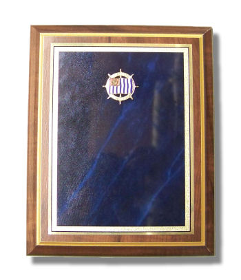 USPS Award Plaque 8" x 10"